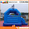 Hot Dolphin Inflatable Bouncer Slide For playground / inflatable combo bouncers
