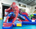 Plato Commercial Bounce House Combo Inflatable Bouncy Castle