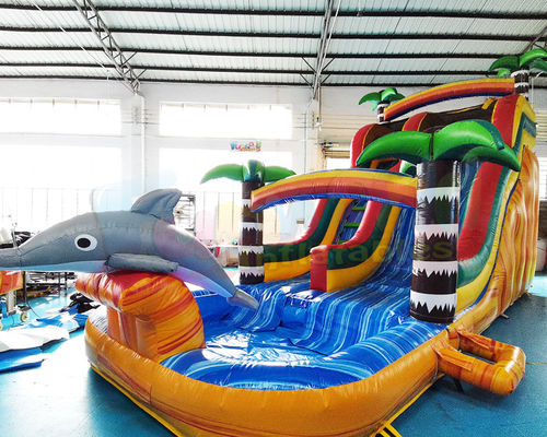 OEM Multi Color Outdoor Inflatable Water Slides For Backyard