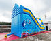 Ocean World Dual Lane Commercial Inflatable Water Slide